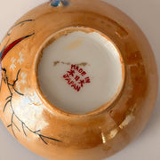 Japanese Lusterware Cup & Saucer